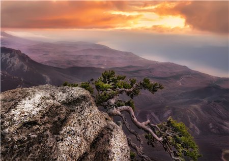 гора демерджи в крыму алушта